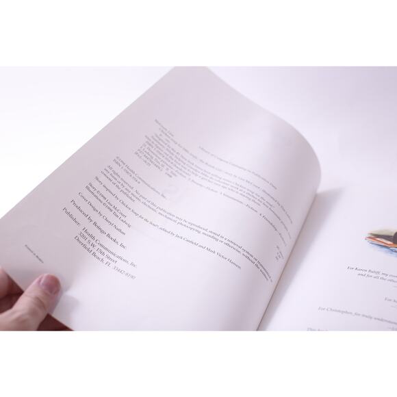 The Braids Girl, Chicken Soup for Little Souls, Picture Book, ~ 250809-WH 441 - Picture 3 of 4